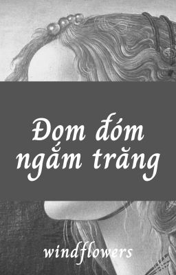 Đom đóm ngắm trăng