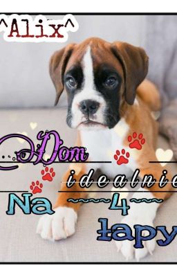 Dom  ~~ i d e a l n i e ~~  na 4 łapy 🐾