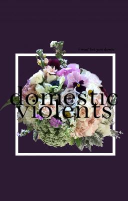 Domestic Violents - I Won't Let You Down