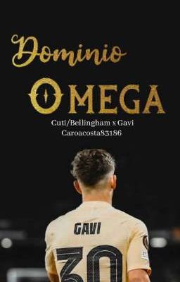 Dominio Omega 