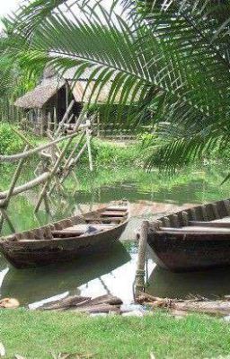 Đờn , Người Và Dòng Sông Phẳng Lặng