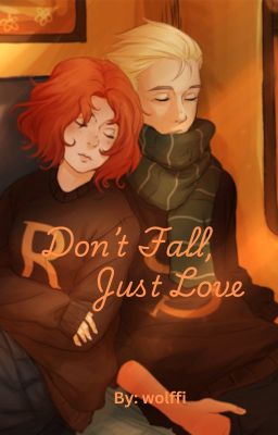 Don't Fall, Just Love