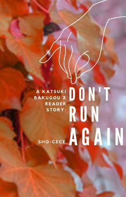 Don't run again| (Bakugo Katsuki x  Female Reader)