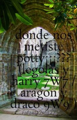 donde nos metiste potty¡¡¡??? (legolas y harry 7W7 / aragon y draco 9W9 )