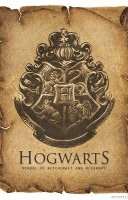 ( Đồng Nhân Harry Potter ) Hogwarts Is My HOME