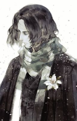 [Đồng nhân Harry Potter] Mùa Đông năm ấy