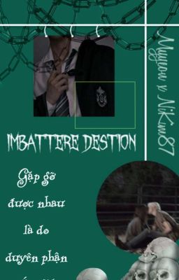 [Đồng Nhân HP] Imbattere Destino