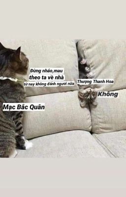 [ Đồng Nhân Văn Mạc Thượng ] Năm Tháng Sau Này, Cần Mình Ngươi Là Đủ