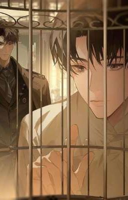 Doze_Kiểm soát