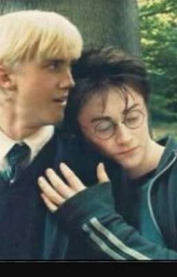 /DRACO×HARRY/ TÔI và CẬU 