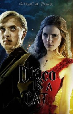 Draco is a cat