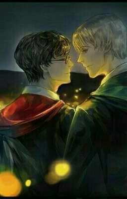 [♡ Draco Malfoy × Harry Potter♡] Mày Là Của Tao Harry