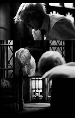 [DRACO MALFOY] KẺ ĐỨNG GIỮA LẰN RANH