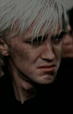 Draco Malfoy - khoảng tối về câu chuyện phù thuỷ. 