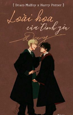 [ Draco Malfoy x Harry Potter ] Loài hoa của tình yêu