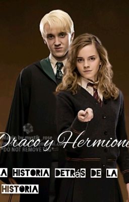 Draco y Hermione: La historia detrás de la historia (EN EDICIÓN)