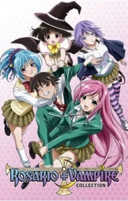 Dragon Hunter ( male reader x Rosario Vampire)