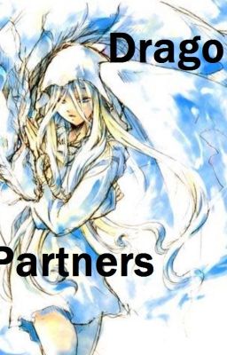 Dragon partners