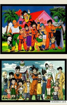 Dragonball One Shorts