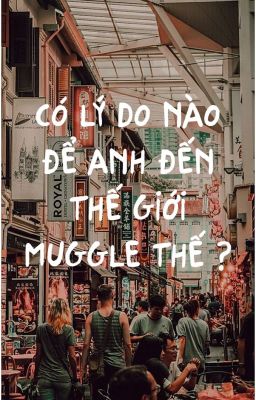 [DraHar] Có lý do nào để anh đến thế giới Muggle thế ?