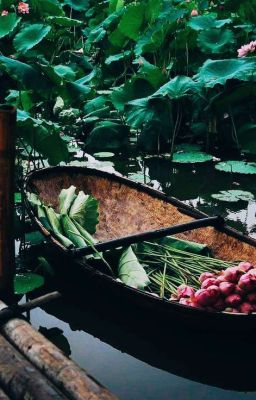 drahar; gót ngọc 