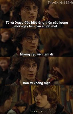 [Drarry]Chàng trai đang sánh bước bên cô rồi cũng sẽ thuộc về tôi