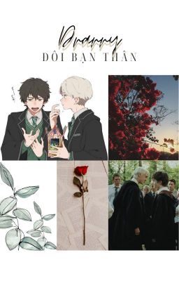 (Drarry) Đôi bạn thân