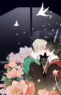[ Drarry] Scorpius Malfoy
