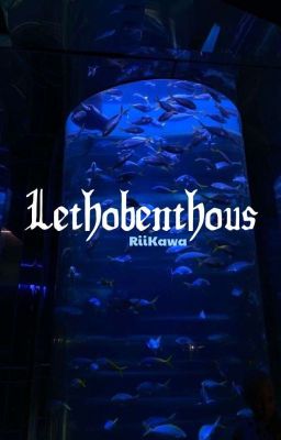 ❗️DROP - [ALLKHOA] 𝙻𝙴𝚃𝙷𝙾𝙱𝙴𝙽𝚃𝙷𝙾𝚄𝚂 - 𝚁𝙸𝙸𝙺𝙰