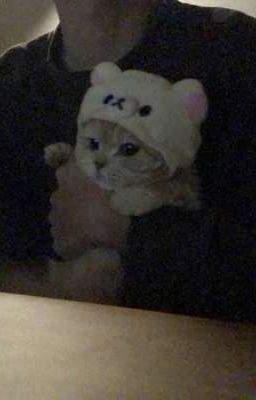 [ drop-shigabaku ] hiiro có nhà không?