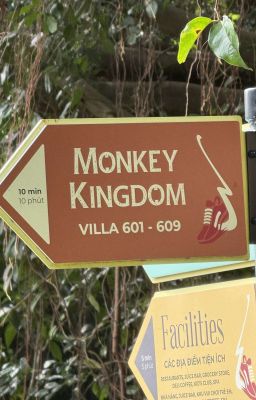 [drop]sookay | cầu duyên