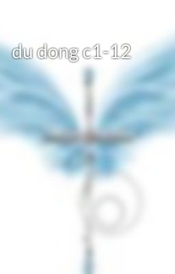 du dong c1-12