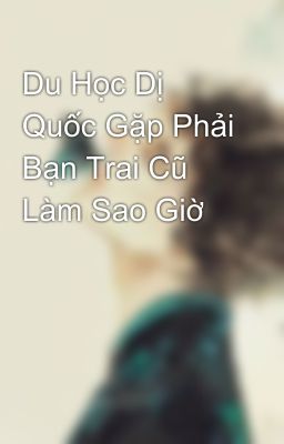 Du Học Dị Quốc Gặp Phải Bạn Trai Cũ Làm Sao Giờ