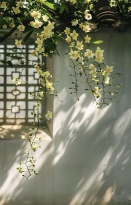 Dư Niệm 