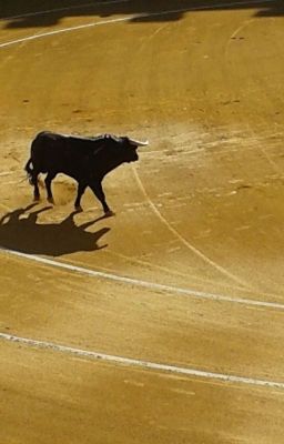 Du sable dans l'arène