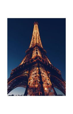 Dụng cụ bấm lỗ giấy, tháp Eiffel và hải cẩu