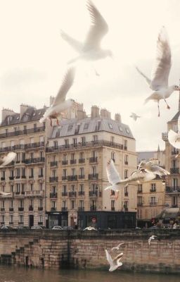 Dưới Bầu Trời Paris