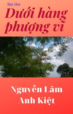 DƯỚI HÀNG PHƯỢNG VĨ | Underneath the Phoenix Tree