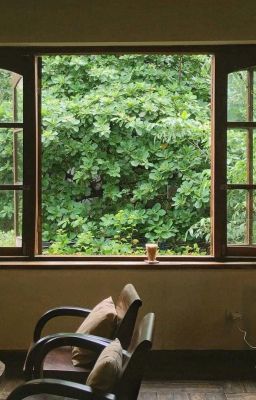 DƯỚI NHỮNG VÌ SAO