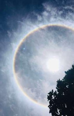 dưới trời quang, tôi đã sống cả trăm cuộc đời.