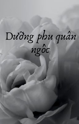 Dưỡng phu quân ngốc (Edit - Hoàn)