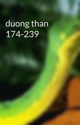 duong than 174-239