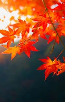 [DuongDuy] Ánh Nhìn Vụng Trộm