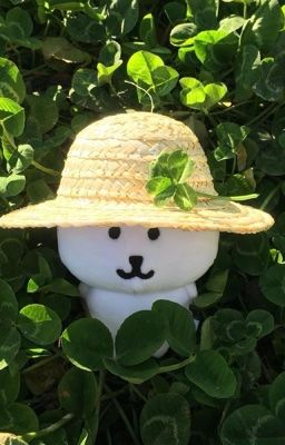 [duonggem] Chuyện cổ tích Tấm Bống