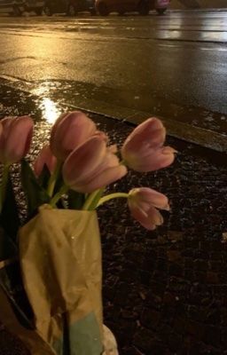 duonghieu; thỏ ngốc