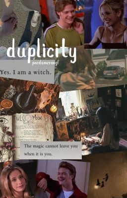 duplicity | h. kinkle