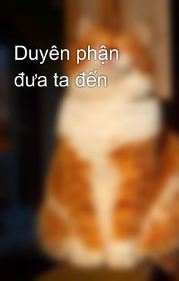 Duyên phận đưa ta đến