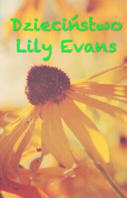 Dzieciństwo Lily Evans ✔