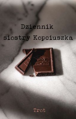 Dziennik siostry Kopciuszka