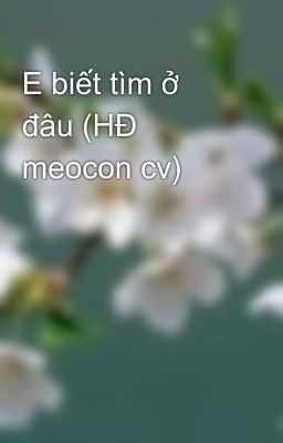 E biết tìm ở đâu (HĐ meocon cv)